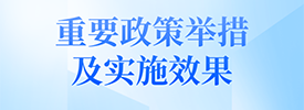 重要政策舉措及實施效果
